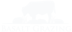 3-png