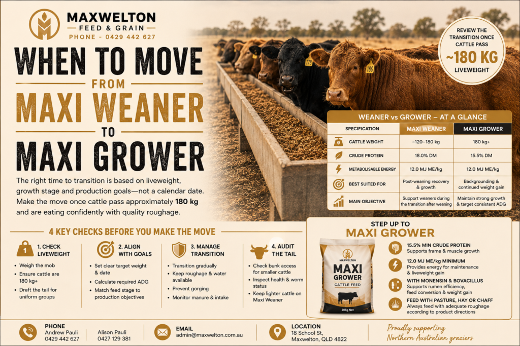 When to Move from Maxi Weaner to Maxi Grower